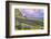 Vik 3pm, Summer in Iceland, Southern Coast Wildflowers-Vincent James-Framed Photographic Print