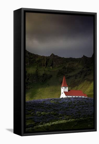 Vik Church and Lupine Flowers, South Region, Iceland, Polar Regions-Andrew Sproule-Framed Premier Image Canvas