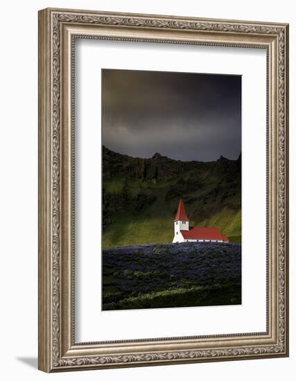 Vik Church and Lupine Flowers, South Region, Iceland, Polar Regions-Andrew Sproule-Framed Photographic Print