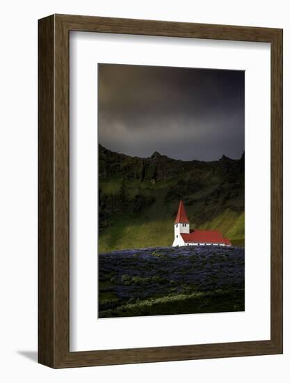 Vik Church and Lupine Flowers, South Region, Iceland, Polar Regions-Andrew Sproule-Framed Photographic Print