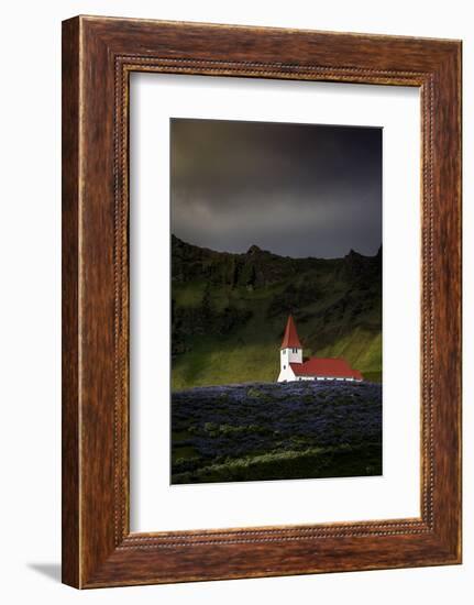 Vik Church and Lupine Flowers, South Region, Iceland, Polar Regions-Andrew Sproule-Framed Photographic Print