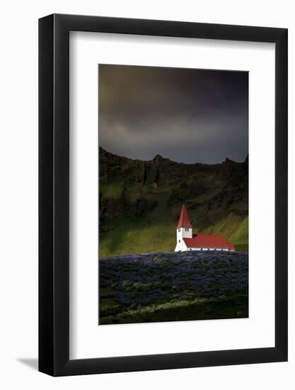 Vik Church and Lupine Flowers, South Region, Iceland, Polar Regions-Andrew Sproule-Framed Photographic Print