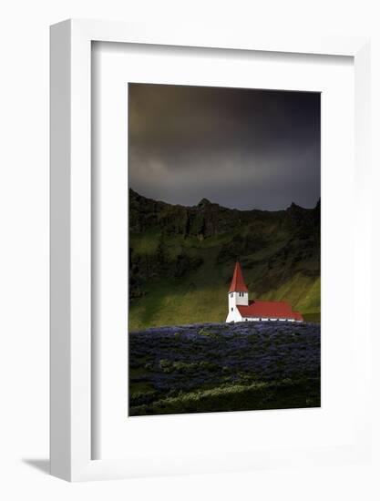 Vik Church and Lupine Flowers, South Region, Iceland, Polar Regions-Andrew Sproule-Framed Photographic Print