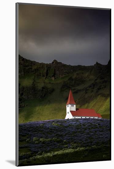 Vik Church and Lupine Flowers, South Region, Iceland, Polar Regions-Andrew Sproule-Mounted Photographic Print