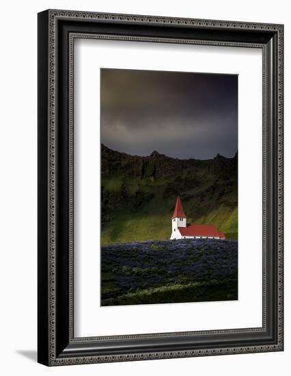 Vik Church and Lupine Flowers, South Region, Iceland, Polar Regions-Andrew Sproule-Framed Photographic Print