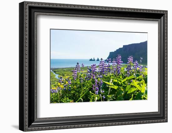 Vik, in the Background the Rock Needles Reynisdrangar-Catharina Lux-Framed Photographic Print