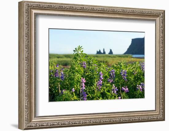 Vik, in the Background the Rock Needles Reynisdrangar-Catharina Lux-Framed Photographic Print
