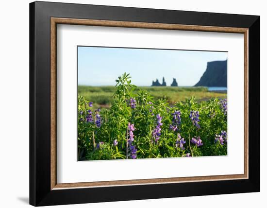 Vik, in the Background the Rock Needles Reynisdrangar-Catharina Lux-Framed Photographic Print