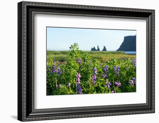 Vik, in the Background the Rock Needles Reynisdrangar-Catharina Lux-Framed Photographic Print