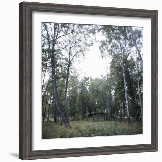 Viking burial mound, Fjord of Oslo, Norway-Werner Forman-Framed Photographic Print