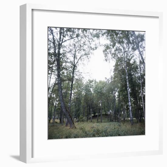 Viking burial mound, Fjord of Oslo, Norway-Werner Forman-Framed Photographic Print