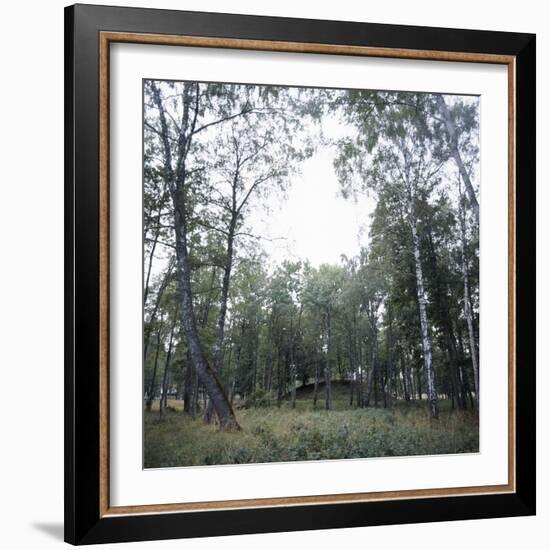 Viking burial mound, Fjord of Oslo, Norway-Werner Forman-Framed Photographic Print