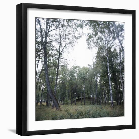 Viking burial mound, Fjord of Oslo, Norway-Werner Forman-Framed Photographic Print