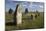 Viking Stone Ship Burial Ground of Gettlinge and Windmill, Sweden-Stuart Black-Mounted Photographic Print