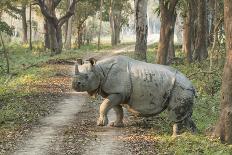 Rhino-Vikramjit Kakati-Mounted Photographic Print