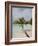 Vilamendhoo Island, Ari Atoll, Maldives, Indian Ocean-Angelo Cavalli-Framed Photographic Print