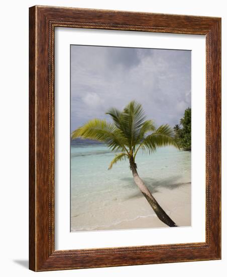 Vilamendhoo Island, Ari Atoll, Maldives, Indian Ocean-Angelo Cavalli-Framed Photographic Print