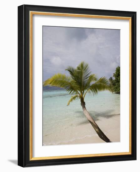 Vilamendhoo Island, Ari Atoll, Maldives, Indian Ocean-Angelo Cavalli-Framed Photographic Print