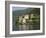 Villa Balbianello, Lake Como, Italy, Europe-James Emmerson-Framed Photographic Print