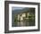 Villa Balbianello, Lake Como, Italy, Europe-James Emmerson-Framed Photographic Print