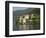 Villa Balbianello, Lake Como, Italy, Europe-James Emmerson-Framed Photographic Print