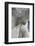 Villa Carlotta, Tremezzo, Como Lake, Lombardy, Italy. Cupid and Psyche.-Marco Bottigelli-Framed Photographic Print