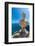 Villa Cimbrone, Ravello, Costiera Amalfitana, UNESCO World Heritage Site, Campania, Italy, Europe-Neil Farrin-Framed Photographic Print