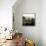 Villa D'Orcia-Max Hayslette-Framed Premier Image Canvas displayed on a wall