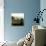 Villa D'Orcia-Max Hayslette-Framed Premier Image Canvas displayed on a wall