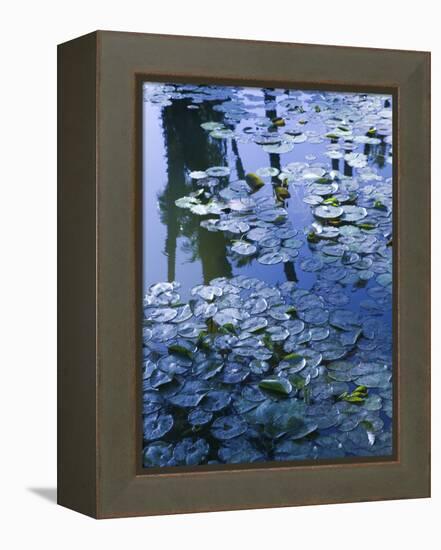 Villa Gardens, Jardin Majorelle and Museum of Islamic Art, Marrakech, Morocco-Walter Bibikow-Framed Premier Image Canvas