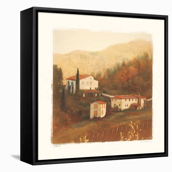 Villa II-Amy Melious-Framed Stretched Canvas