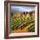 Villa in the Vinyards of Tuscany-Tim Howe-Framed Giclee Print