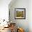 Villa in the Vinyards of Tuscany-Tim Howe-Framed Giclee Print displayed on a wall