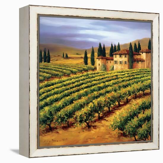 Villa in the Vinyards of Tuscany-Tim Howe-Framed Premier Image Canvas