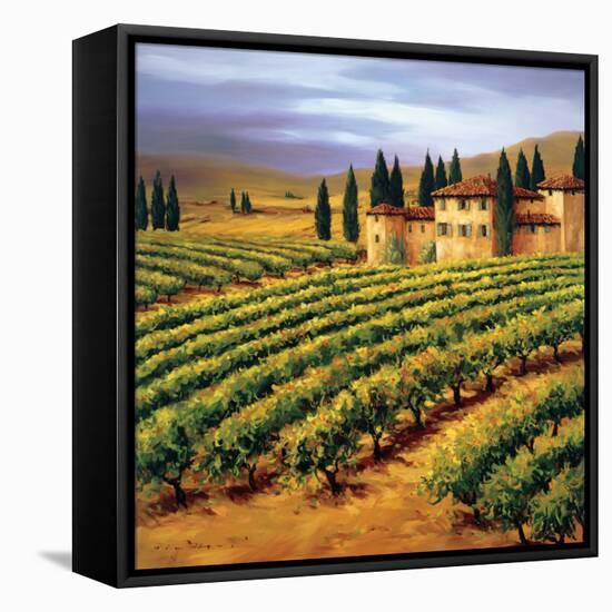 Villa in the Vinyards of Tuscany-Tim Howe-Framed Premier Image Canvas
