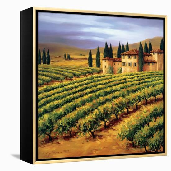 Villa in the Vinyards of Tuscany-Tim Howe-Framed Premier Image Canvas