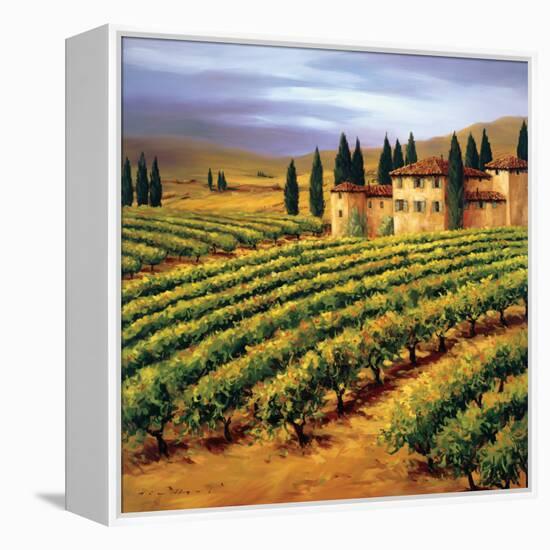 Villa in the Vinyards of Tuscany-Tim Howe-Framed Premier Image Canvas