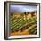 Villa in the Vinyards of Tuscany-Tim Howe-Framed Premium Giclee Print