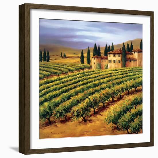 Villa in the Vinyards of Tuscany-Tim Howe-Framed Premium Giclee Print