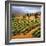 Villa in the Vinyards of Tuscany-Tim Howe-Framed Premium Giclee Print