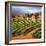 Villa in the Vinyards of Tuscany-Tim Howe-Framed Premium Giclee Print