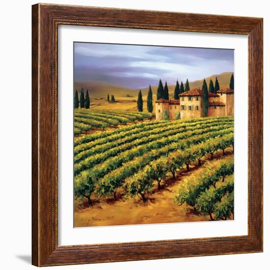 Villa in the Vinyards of Tuscany-Tim Howe-Framed Premium Giclee Print