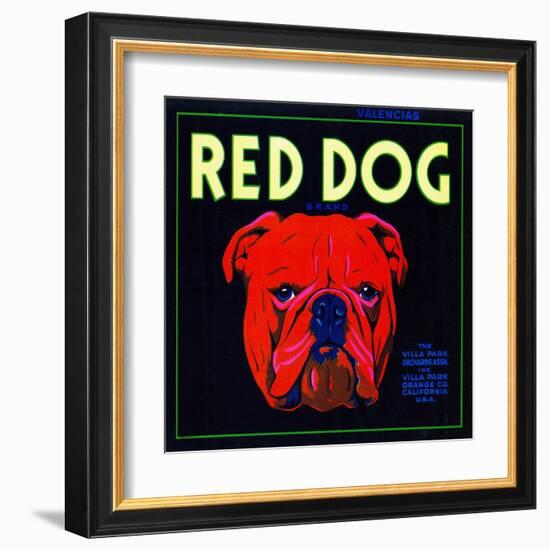 Villa Park, California, Red Dog Brand Citrus Label-Lantern Press-Framed Art Print