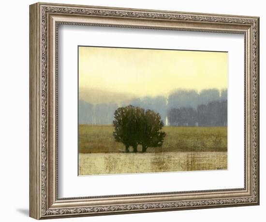 Villa Park I-Norman Wyatt Jr.-Framed Premium Giclee Print