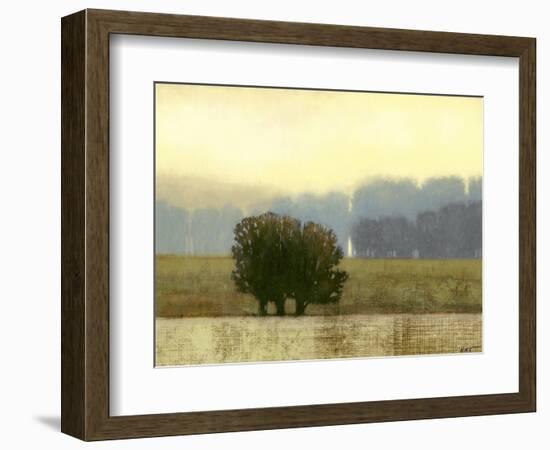 Villa Park I-Norman Wyatt Jr.-Framed Premium Giclee Print