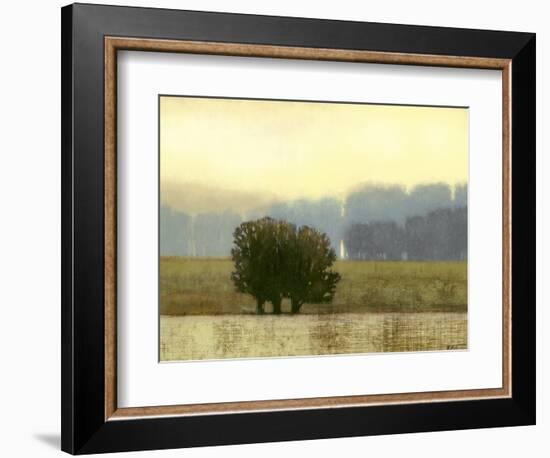 Villa Park I-Norman Wyatt Jr.-Framed Premium Giclee Print