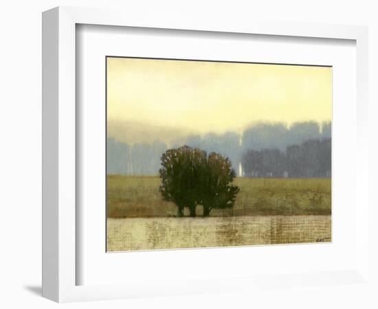 Villa Park I-Norman Wyatt Jr.-Framed Premium Giclee Print