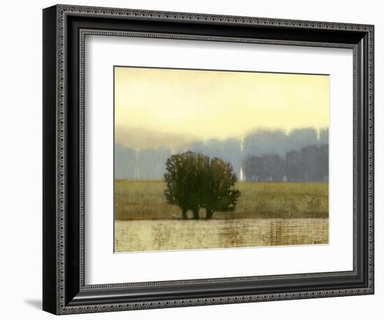 Villa Park I-Norman Wyatt Jr.-Framed Premium Giclee Print