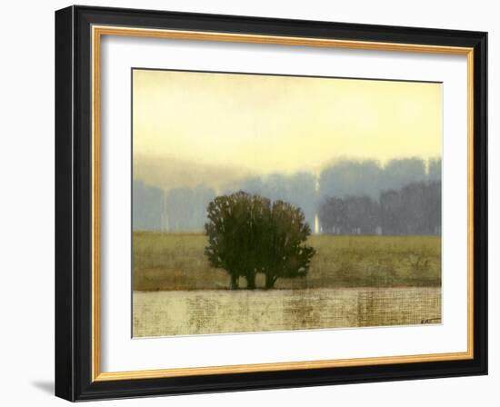 Villa Park I-Norman Wyatt Jr.-Framed Art Print