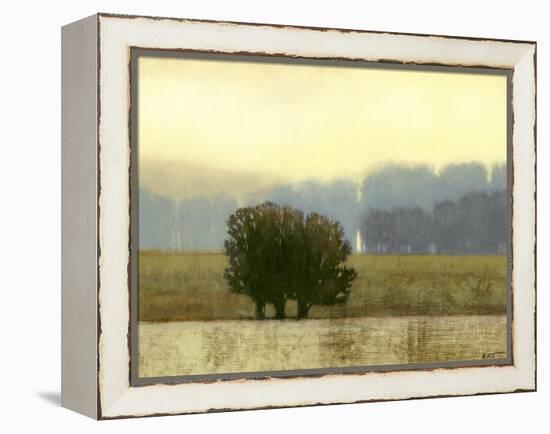 Villa Park I-Norman Wyatt Jr.-Framed Stretched Canvas